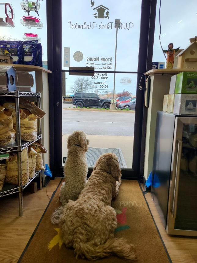 Waiting Patiently for our Customers