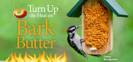 Promo Hot Pepper Bark Butter 1805P